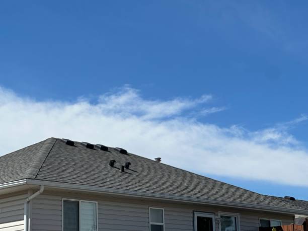 Best Asphalt Shingles Roofing  in Abbeville, SC